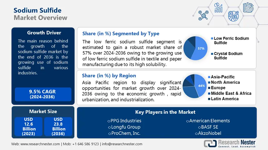 Sodium Sulfide Market overview